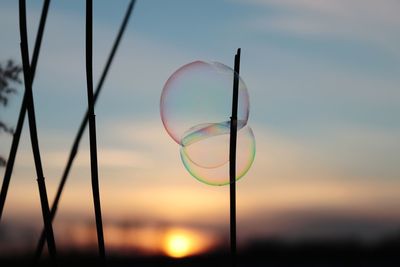 Close-up of bubbles against sky at sunset