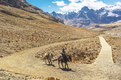 People riding horses on mountain