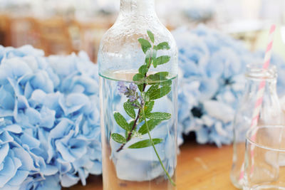 Close-up of drink in jar