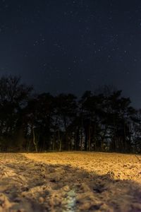 Trees on landscape against star field at night