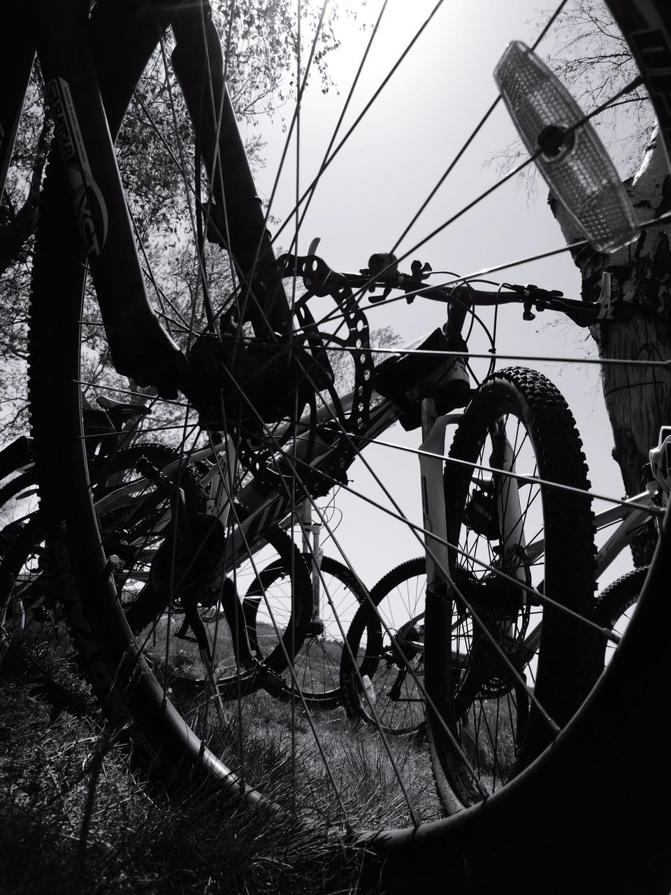 transportation, bicycle, wheel, mode of transport, day, outdoors, land vehicle, spoke, no people, tire, close-up, sky