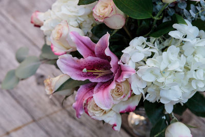 Close-up of pink flowers