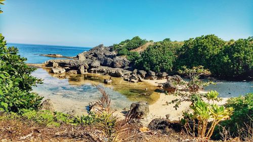Scenic view of sea against clear sky