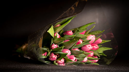 Close-up of pink roses on table against black background