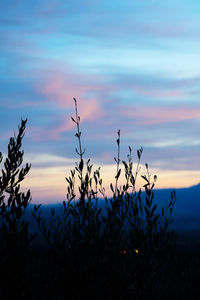 Sunset sky over mountain landscape