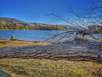 Scenic view of lake against clear blue sky