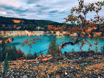 Scenic view of lake by trees against sky