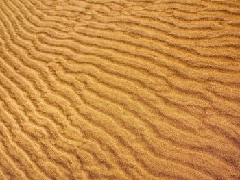 Full frame shot of sand dune