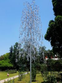 Trees against clear sky