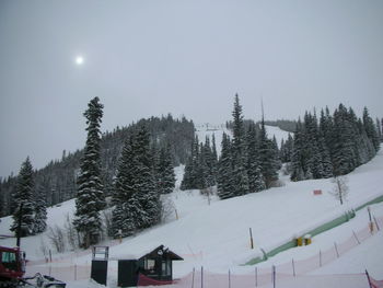 Snow covered trees against sky