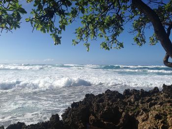 Scenic view of sea against clear blue sky