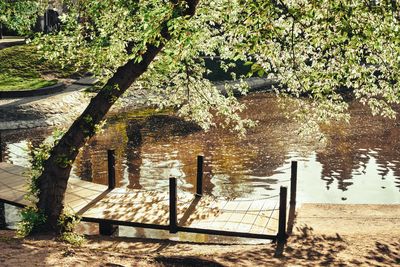 Scenic view of lake by trees