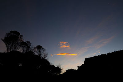 Low angle view of silhouette trees against sky at sunset