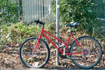 Bicycle parked at roadside