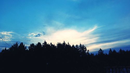 Low angle view of silhouette trees against sky