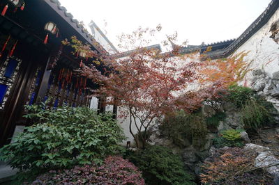 View of flowering plants and trees against building