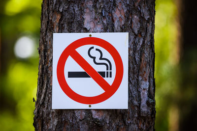 Close-up of sign on tree trunk