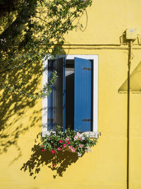 Blue window on yellow wall