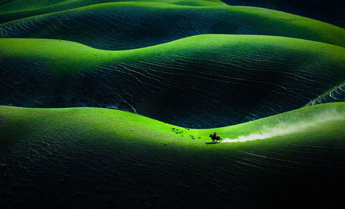 Close-up of green insect on leaf
