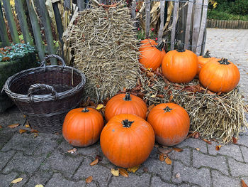 High angle view of pumpkins in basket