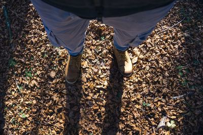 Low section of man standing on dry leaves in forest during sunny day