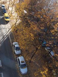High angle view of cars on road