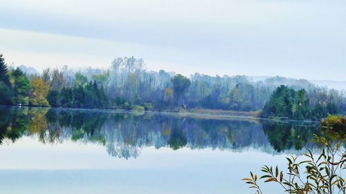 Scenic view of lake by trees against clear sky