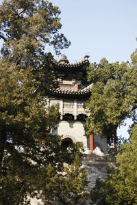 Low angle view of trees and building against sky