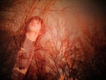 Bare trees against sky