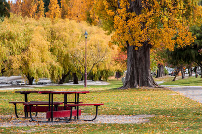 Saint omer park, queenstown, new zealand