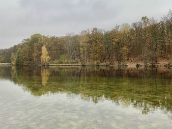 Reflection of trees in lake against sky