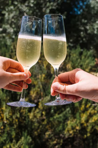 Female and male hands holding two glasses with sparkling white wine close-up over the greenery