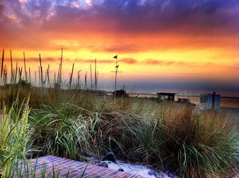 Scenic view of beach against sky during sunset