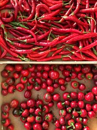 Full frame shot of red chili peppers and tomatoes/balance/passion