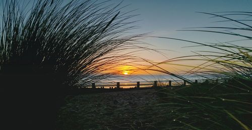 Scenic view of sunset over sea