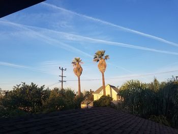 Low angle view of trees against blue sky