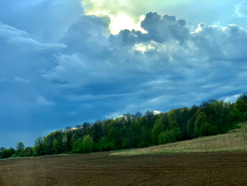 Trees on field against sky