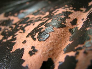 Close-up of peeling off leather