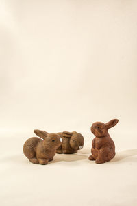 Three rabbits talking