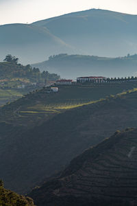 Scenic view of agricultural landscape against sky