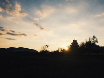 Silhouette of trees at sunset