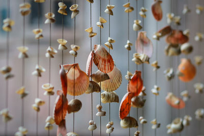 Seashell outing sea hanging design home decor ornaments looks beautiful, if you live according 