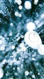 Close-up of drop on water