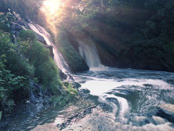 Scenic view of waterfall in forest