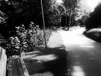 Road passing through trees