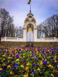 View of flowering plants by building against sky