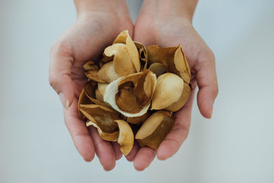 Close-up of person holding ice cream over white background