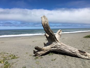 Driftwood on beach by sea against sky