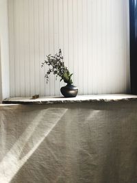 Potted plant on table at home