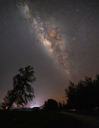 Low angle view of silhouette trees against sky at night